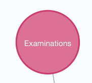 Examination node