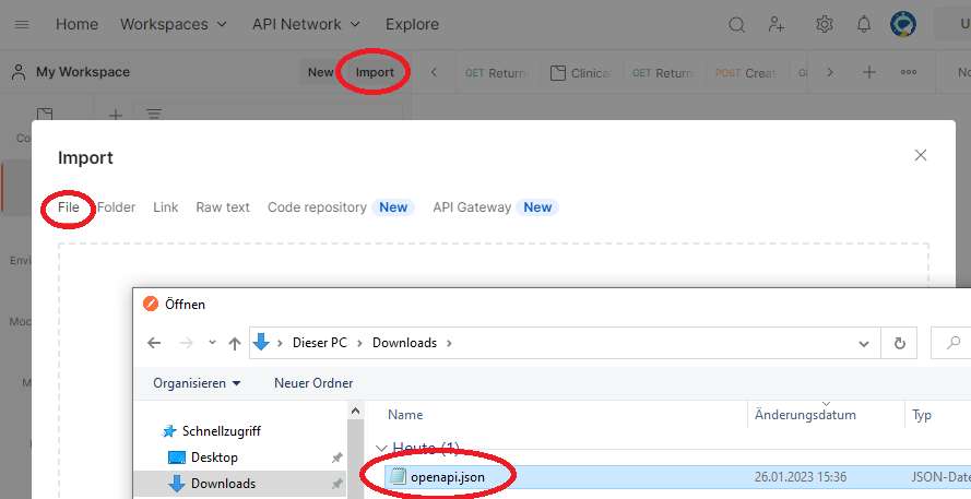 Importing OpenAPI.json into Postman